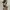 Hysteric Glamour Y2K Belt Wanita multicolor photo 5