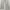 Japanese brand Y2K Flare pants Wanita cream photo 4
