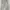 Japanese brand Y2K Flare pants Wanita cream photo 3