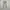Japanese brand Y2K Flare pants Wanita cream photo 2