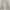Japanese brand Y2K Flare pants Wanita cream photo 6