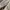 Japanese brand Y2K Flare pants Wanita cream photo 8