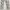 CO&LU Y2K Skinny jeans Wanita white photo 7