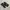 Nike  Tn Shox photo 2