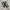 Nike  Tn Shox photo 3