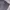 Dickies Pants Basic Charcoal photo 5