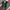 Adidas Samba x Jonna Hills Green FW7458 sepatu adidas photo 1