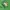 Adidas Casual Track jacket Pria white green photo 4