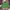 Adidas Casual Track Jacket Pria White Green