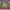 Jungle Fatigue Slant Pocket Jacket Olive Green Us army photo 5