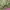 Jungle Fatigue Slant Pocket Jacket Olive Green Us army photo 3