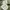 Jungle Fatigue Slant Pocket Jacket Olive Green Us army photo 4