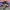 M65 Field Jacket Alpha Industries OG107 US ARMY Military photo 5