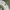 STUSSY ITP FLOWER WHITE TEE T-SHIRT photo 3