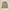 Burberrys 80s iconic golfer workjacket photo 4