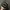 Vondutch Army Camo Double Patch Skeleton Trucker Hat  photo 6
