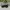 Ray Ban Vintage Casual Sunglass Pria Brown