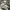 Vondutch Army Camouflage Big Flying Eye Trucker Hat  photo 4