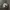 Vondutch Army Camouflage Big Flying Eye Trucker Hat  photo 1