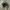Vondutch Corduroy Brown Trucker Hat  photo 6