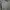 Turtleneck long Sleeve  wanita photo 3