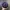 Vondutch Twotone Pink-Purple Trucker Hat photo 5