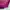 Longchamp Small Top Handle Fuschia
