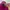 Longchamp Small Top Handle Fuschia photo 6