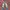 celana slacks jeans photo 1