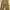 CARHARTT CARPENTER PANT FADED BROWN - B11 BRN photo 1