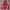 Marmot Blocktech Outdoor Jacket 