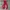 Marmot Blocktech Outdoor Jacket  photo 1