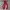 Marmot Blocktech Outdoor Jacket 