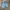 Carpenter baggy jorts jeans levis photo 1