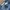 Carpenter baggy jorts jeans levis photo 4