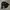 Long sleeved shirt massive massimo japanese brand y2k photo 1
