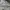 Helly Hansen Helly Tech Outdoor Jacket  photo 7