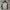 Helly Hansen Helly Tech Outdoor Jacket  photo 3