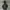 Helly Hansen Helly Tech Outdoor Jacket 