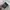 Helly Hansen Helly Tech Outdoor Jacket  photo 5
