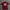 Jersey Kappa photo 6
