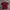 Jersey Kappa photo 1