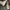 Casual Boots Pria cream photo 1