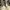 Casual Boots Pria cream photo 1