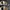 Converse Indie Casual Sneakers Wanita white black photo 6