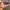 Iphone 11 64 ibox photo 5
