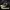 Converse Indie Casual Sneakers Pria White Black
