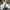 Flat shoes zaxy photo 2