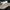 Compass Indie Casual Sneakers Pria green white photo 4