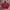Hoodie nike merah photo 1